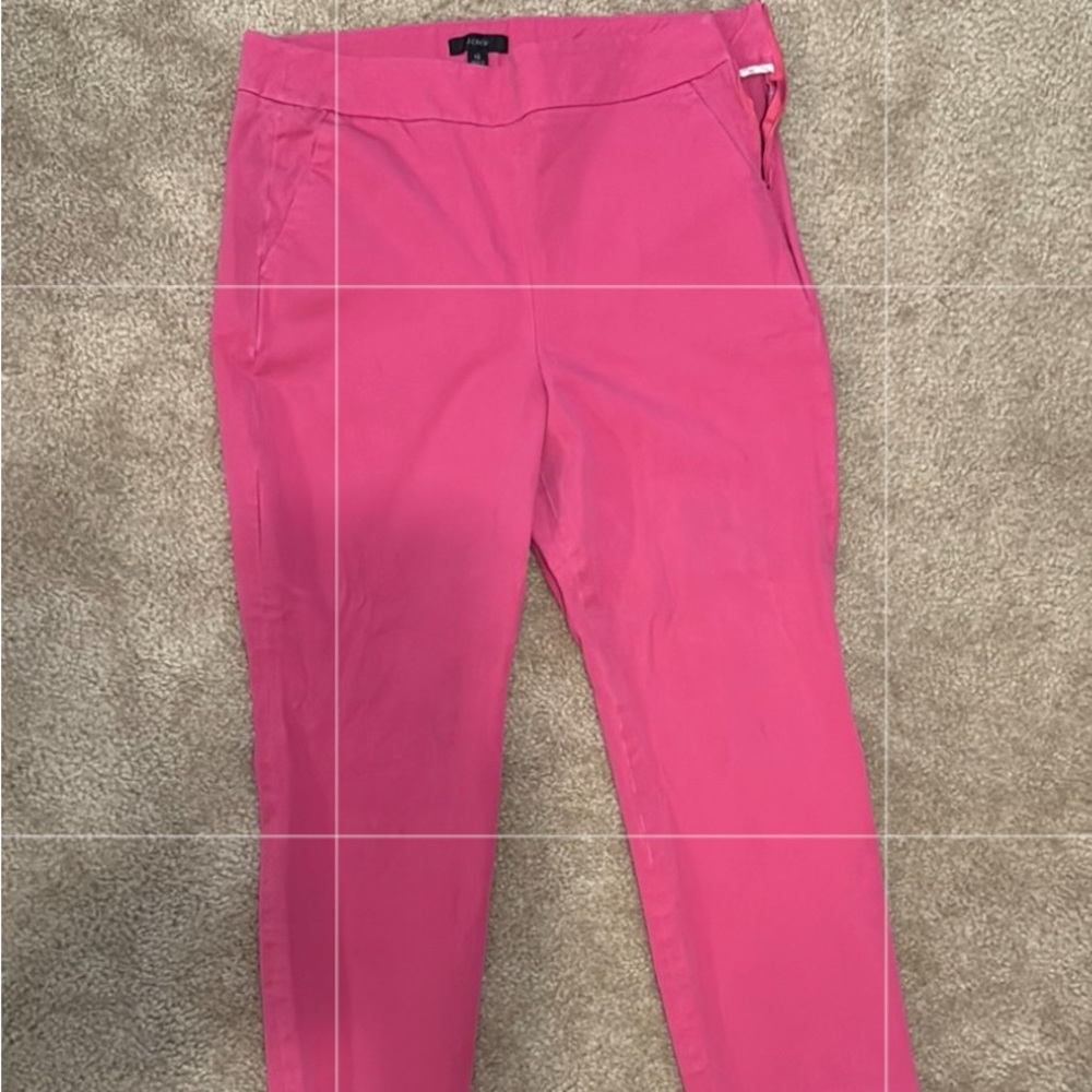 JCrew Side Zip, Pull On Pants-Pink